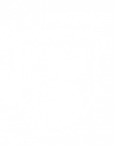 padvish logo لوگو پادویش