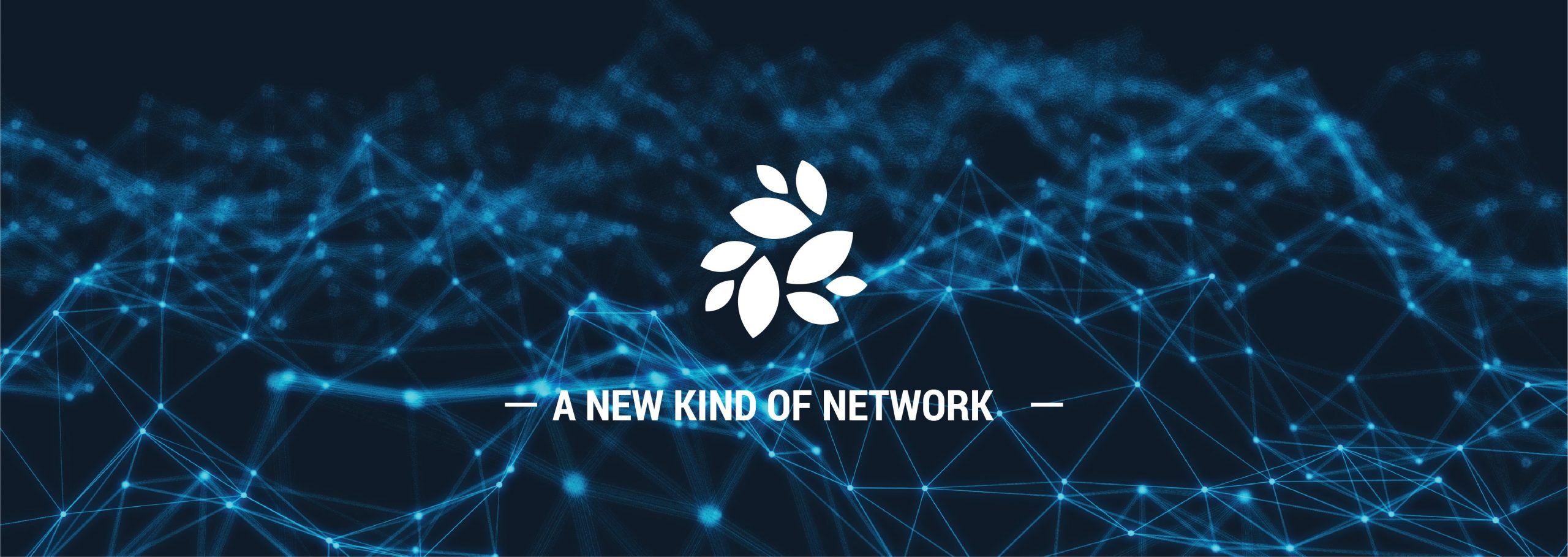 nknetwork_cover
