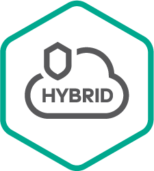 icon hybrid cloud