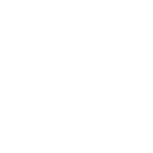 antitheft icon