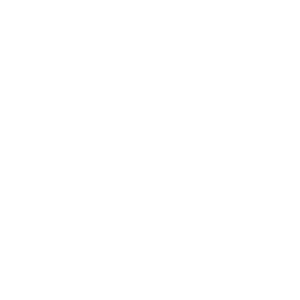 phishing icon